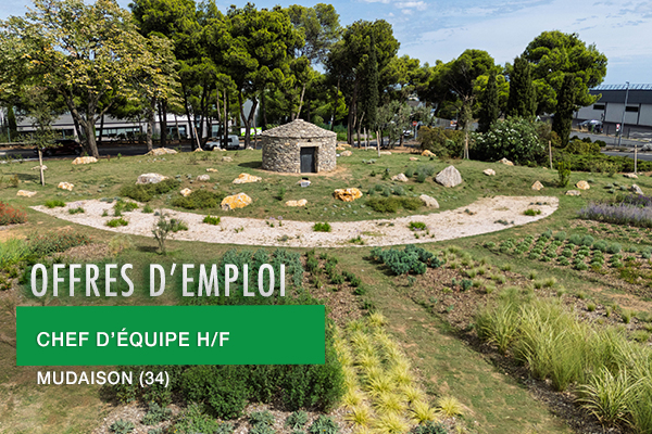 Chef-equipe-med-2026